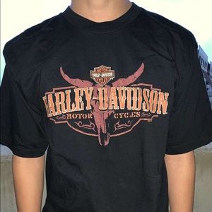 ℙ𝕚𝕘🐖𝕋𝕣𝕒𝕚𝕝 (ℍ𝕒𝕣𝕝𝕖𝕪-𝔻𝕒𝕧𝕚𝕕𝕤𝕠𝕟)